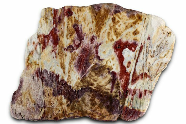 Colorful Polished Killaloe Opal Slab - Australia #353864